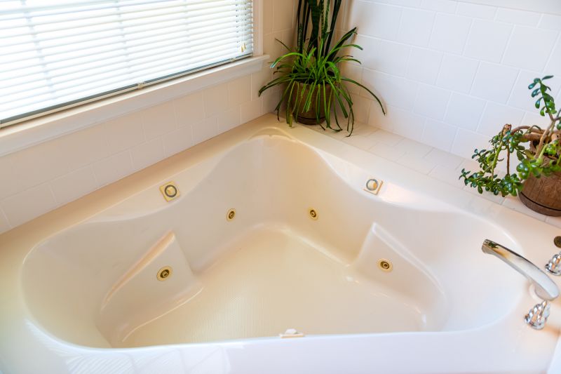 Expert Bathtub Installers in Taylor